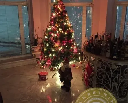 Sale, house, 420m², Kać, Novi Sad Sve Podlokacije - image 12