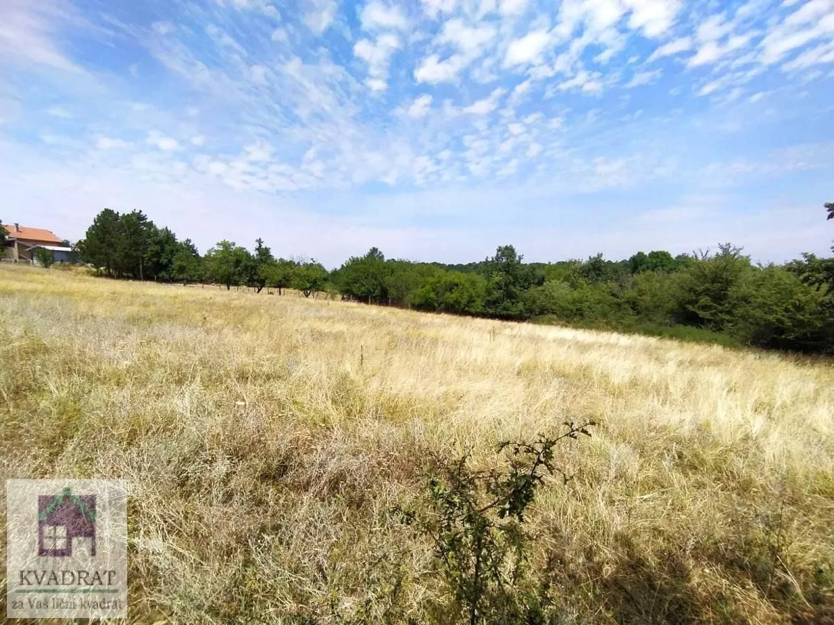 Prodaja, plac, 5000m², Arnajevo, Barajevo