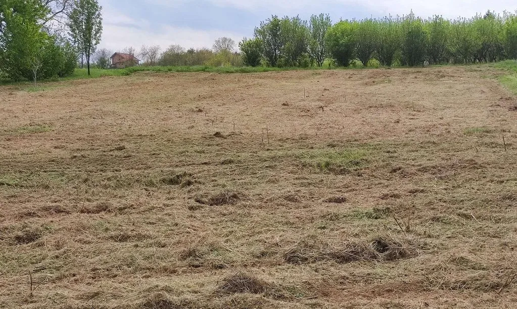 Prodaja, plac, 1927m², Irig, Srbija