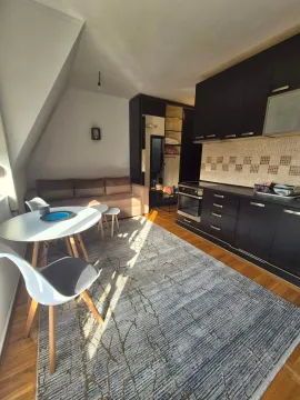 Rent, studio apartment, 22m², Zabjelo, Podgorica - image 3