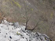  Land Lot for Sale, 15189m2, Bar