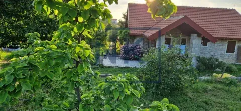 Pogled na dvorište i fasadu kuće sa zelenilom. - image 3