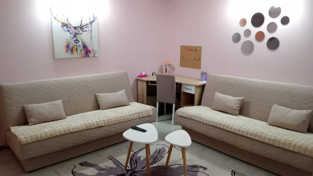 Rent, two bedroom apartment, 36m², Sajmište, Novi Sad