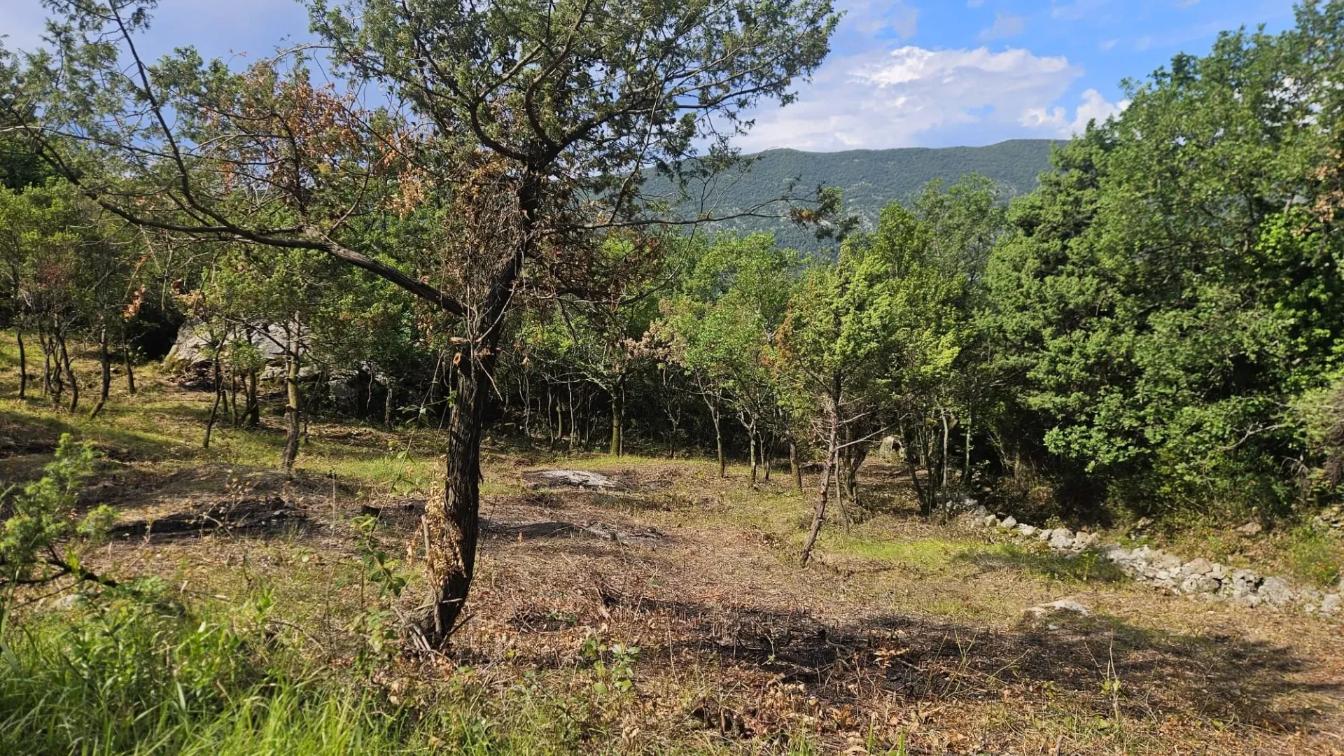 Prodaja, plac, 500m², Mojdež, Herceg Novi