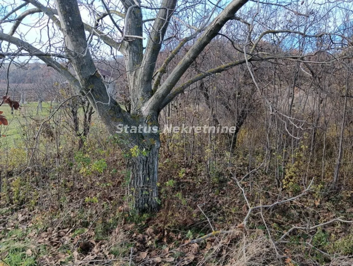 Prodaja, plac, 3333m², Sremski Karlovci, Novi Sad