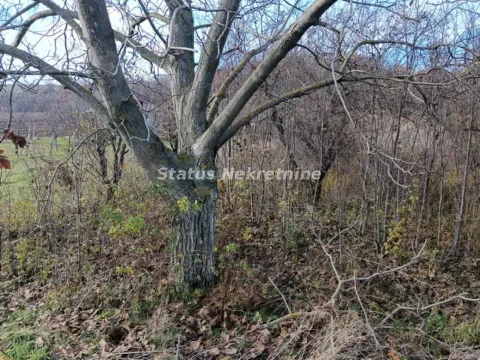 Sale, land lot, 3300m², Sremski Karlovci, Novi Sad - image 4