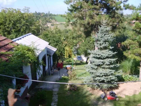 Pogled na dvorište i pomoćni objekat kuće okružene zelenilom. - image 2