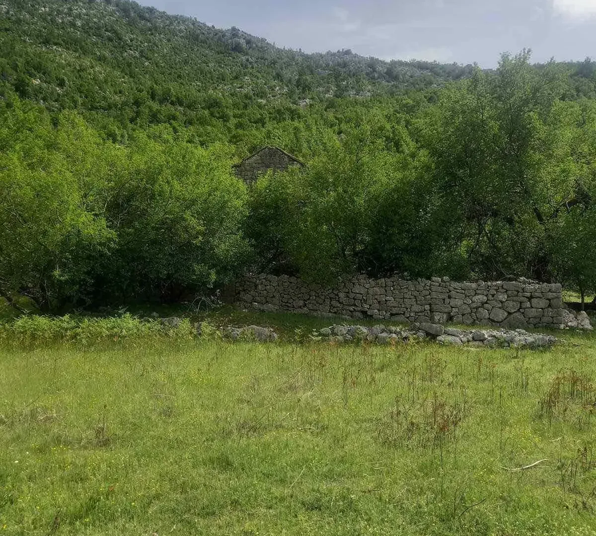 Prodaja, plac, 23377m², Dragalj, Kotor