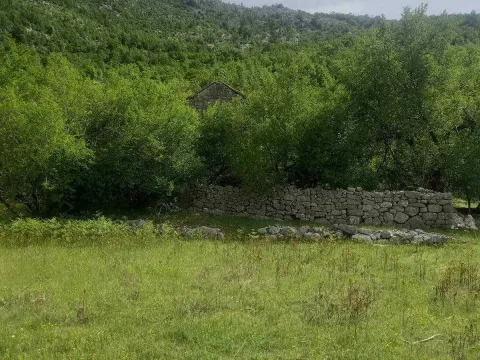 Sale, land lot, 23377m², Dragalj, Kotor - image 4