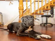 Prodaja, trosoban stan, 110m², Knez Mihajlova Centar, Centar Sve Podlokacije - image 5