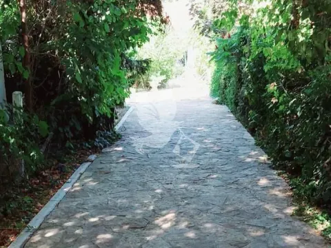 Sale, house, 295m², Selters Banja, Mladenovac - image 18