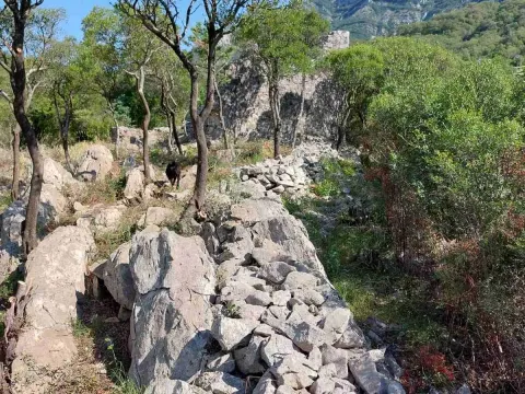 Prodaja, plac, 5000m², Bar, Crna Gora - image 5