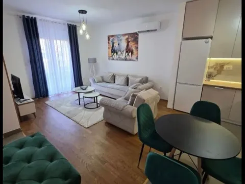 Izdavanje, jednosoban stan, 56m², Central Point, Podgorica - image 1
