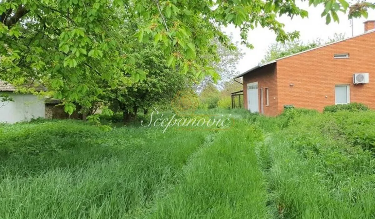 Prodaja, plac, 5298m², Čurug, Žabalj