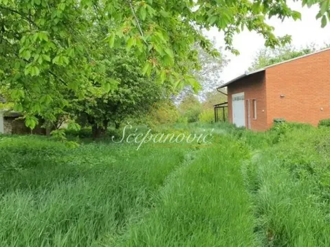 Sale, land lot, 5298m², Čurug, Žabalj - image 3