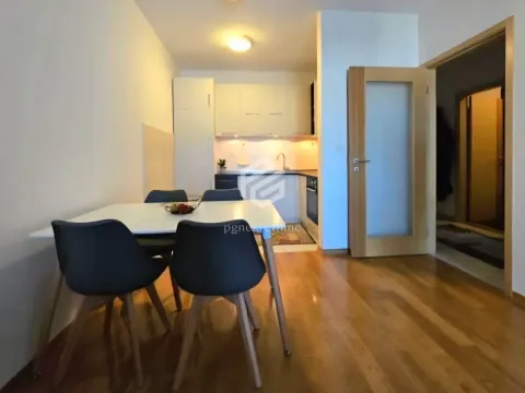 Izdavanje, jednosoban stan, 46m², Blok 6, Podgorica - image 3