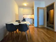 Izdavanje, jednosoban stan, 46m², Blok 6, Podgorica - image 3