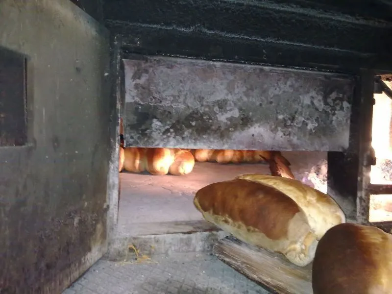 Izdavanje, poslovni prostor, 75m², Palilula Sve Podlokacije, Beograd