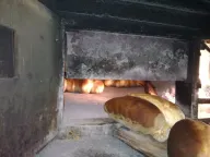 Izdavanje, poslovni prostor, 75m², Palilula Sve Podlokacije, Beograd - image 1