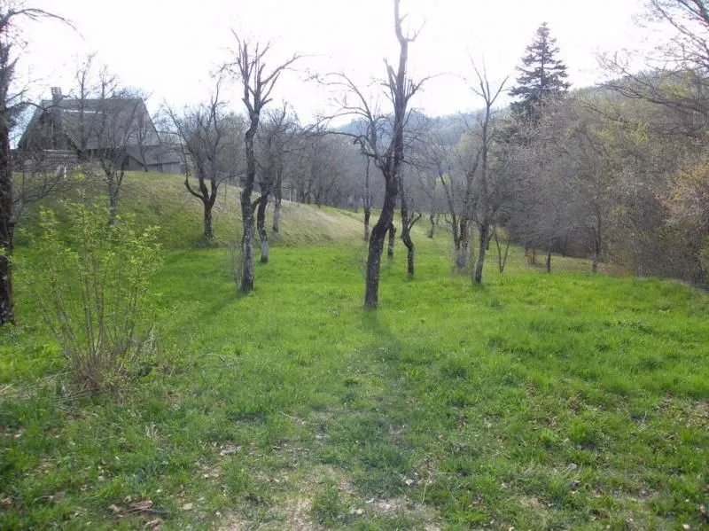 Prodaja, plac, 23600m², Kolašin, Crna Gora