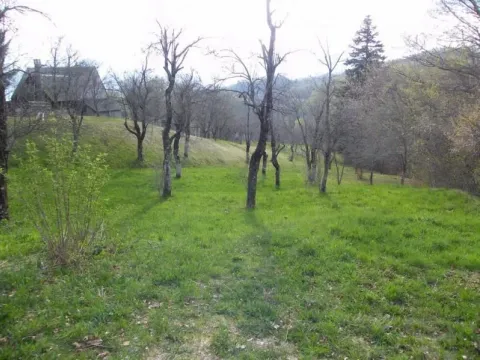 Prodaja, plac, 23600m², Kolašin, Crna Gora - image 8