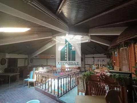 Izdavanje, poslovni prostor, 292m², Vlasotince, Srbija - image 19