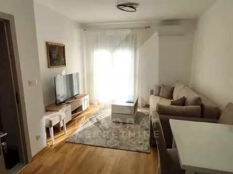 Rent, one bedroom apartment, 40m², Zabjelo, Podgorica - image 1