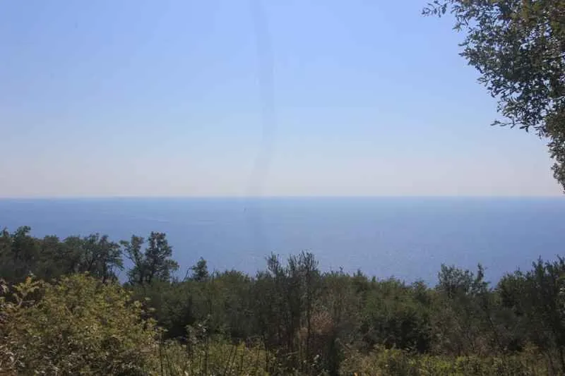 Otvoreni pogled na more sa placa okruženog zelenilom.