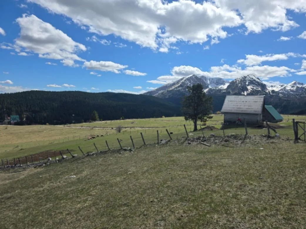 Prodaja, plac, 667m², Pitomine, Žabljak