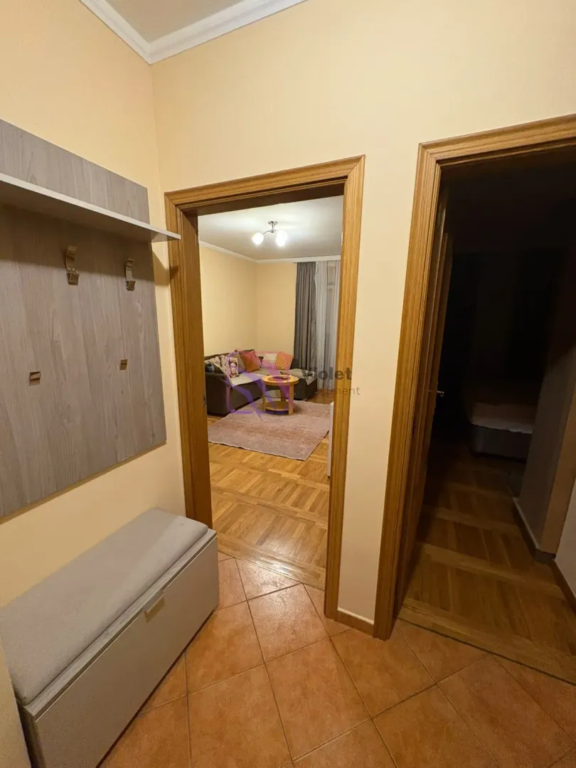 Izdavanje, jednosoban stan, 45m², Preko Morače, Podgorica