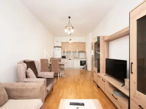 Rent, one bedroom apartment, 44m², Ljubović, Podgorica - image 2