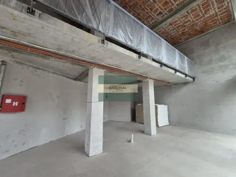 Izdavanje, poslovni prostor, 215m², Centar, Paraćin - image 2