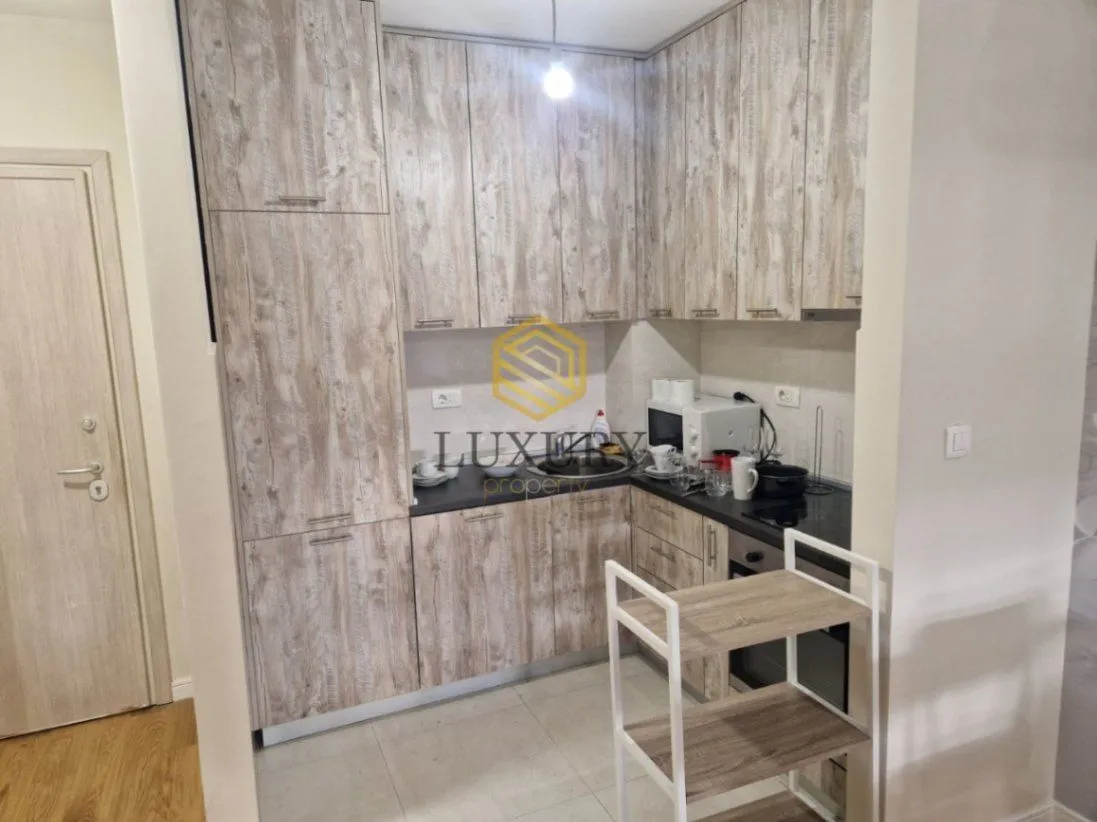 Izdavanje, jednosoban stan, 47m², Central Point, Podgorica