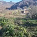 Izdavanje, kuća, 247m², Cetinje, Crna Gora - image 15