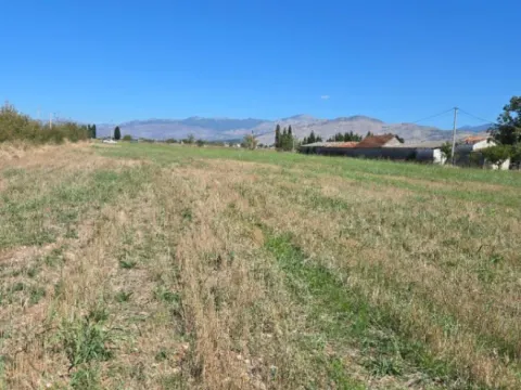 Prodaja, plac, 7000m², Zeta, Podgorica - image 8