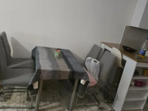 Izdavanje, jednosoban stan, 48m², Stari Aerodrom, Podgorica - image 6