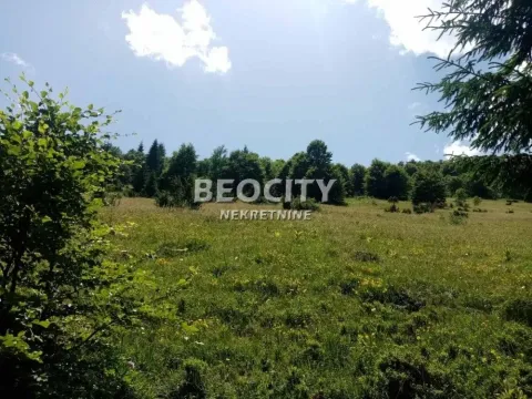 Sale, land lot, 100m², Golija, Ivanjica - image 8