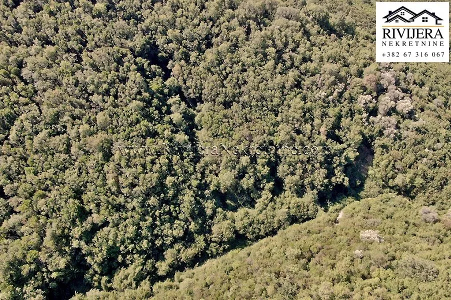 Prodaja, plac, 38868m², Zelenika, Herceg Novi