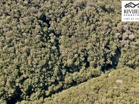 Prodaja, plac, 38868m², Zelenika, Herceg Novi - image 8