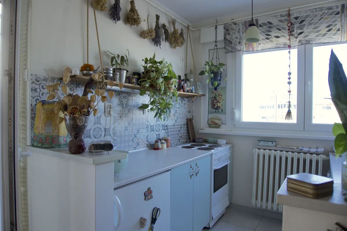 Prodaja, dvosoban stan, 55m², Banatić, Novi Sad Sve Podlokacije