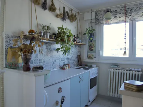 Prodaja, dvosoban stan, 55m², Banatić, Novi Sad Sve Podlokacije - image 2