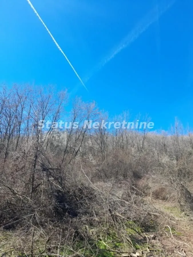 Prodaja, plac, 29472m², Sremski Karlovci, Novi Sad