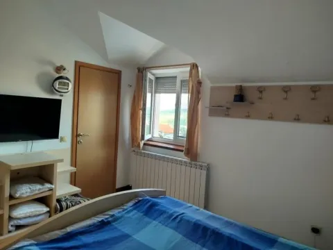 Rent, house, 250m², Olimp, Zvezdara Sve Podlokacije - image 6