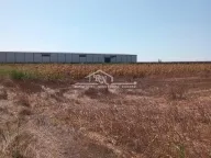 Prodaja, plac, Batajnica, Beograd - image 5