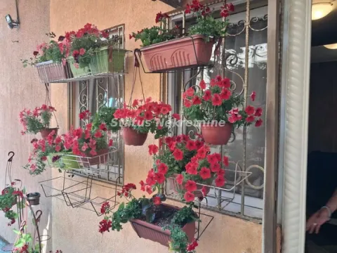 Prodaja, jednosoban stan, 29m², Telep, Novi Sad Sve Podlokacije - image 12