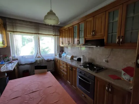 Izdavanje, kuća, 330m², Sremska Kamenica, Petrovaradin - image 13