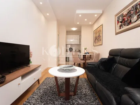 Izdavanje, jednosoban stan, 40m², Central Point, Podgorica - image 3
