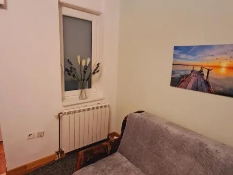 Izdavanje, dvosoban stan, 54m², Grbavica, Novi Sad Sve Podlokacije