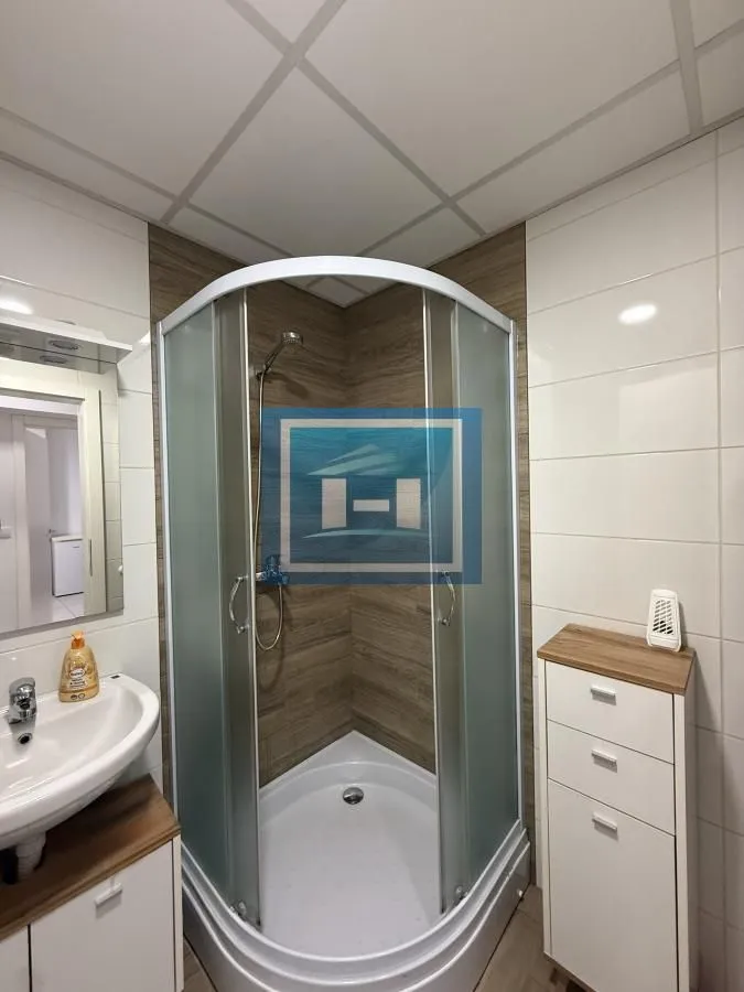 Izdavanje, jednosoban stan, 44m², Centar, Jagodina