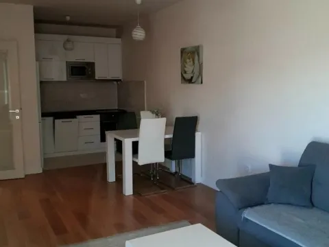 Izdavanje, jednosoban stan, 49m², Central Point, Podgorica - image 10